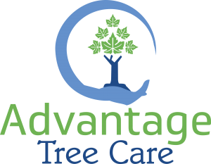 Advantage Tree Care Logo