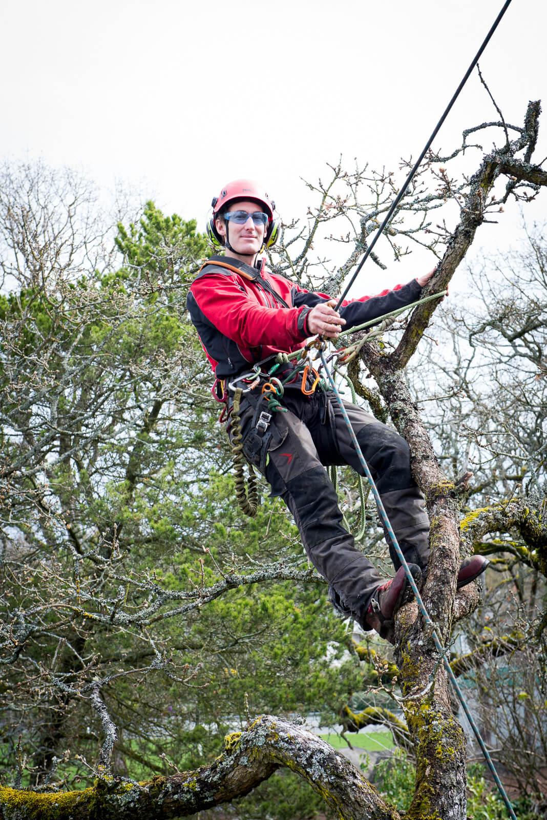 Daniel Chamberlin Owner operator of Advantage Tree Care the best tree service company in Victoria BC
