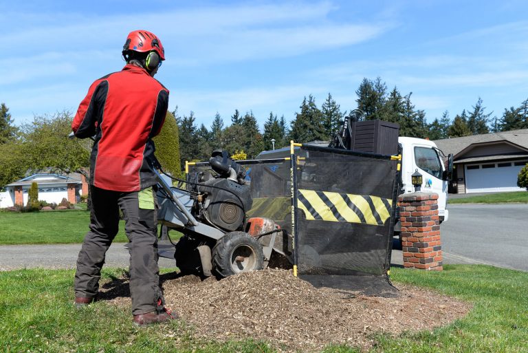 Commercial Stump Removal Advantage Tree Care