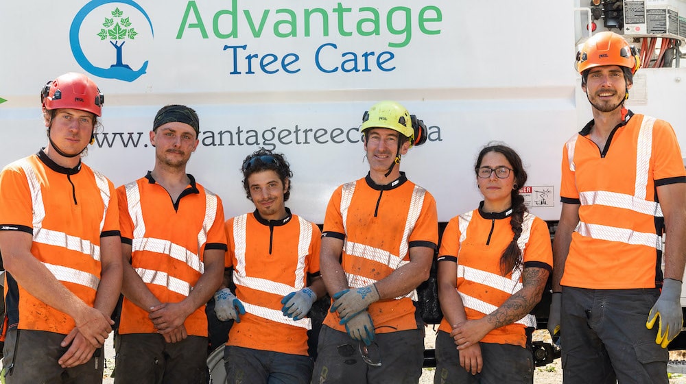 Advantage Tree Care team - offering tree services in Victoria BC